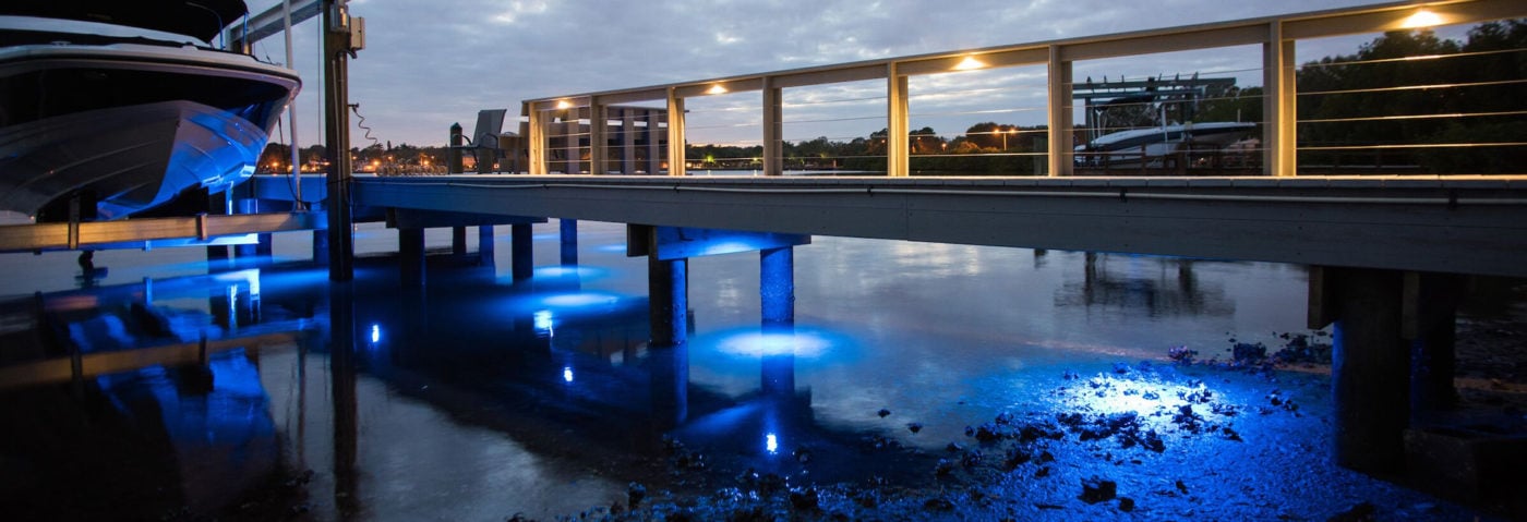 Lighting up the Marina: Enhancing Walkways and Public Spaces with LED Lights