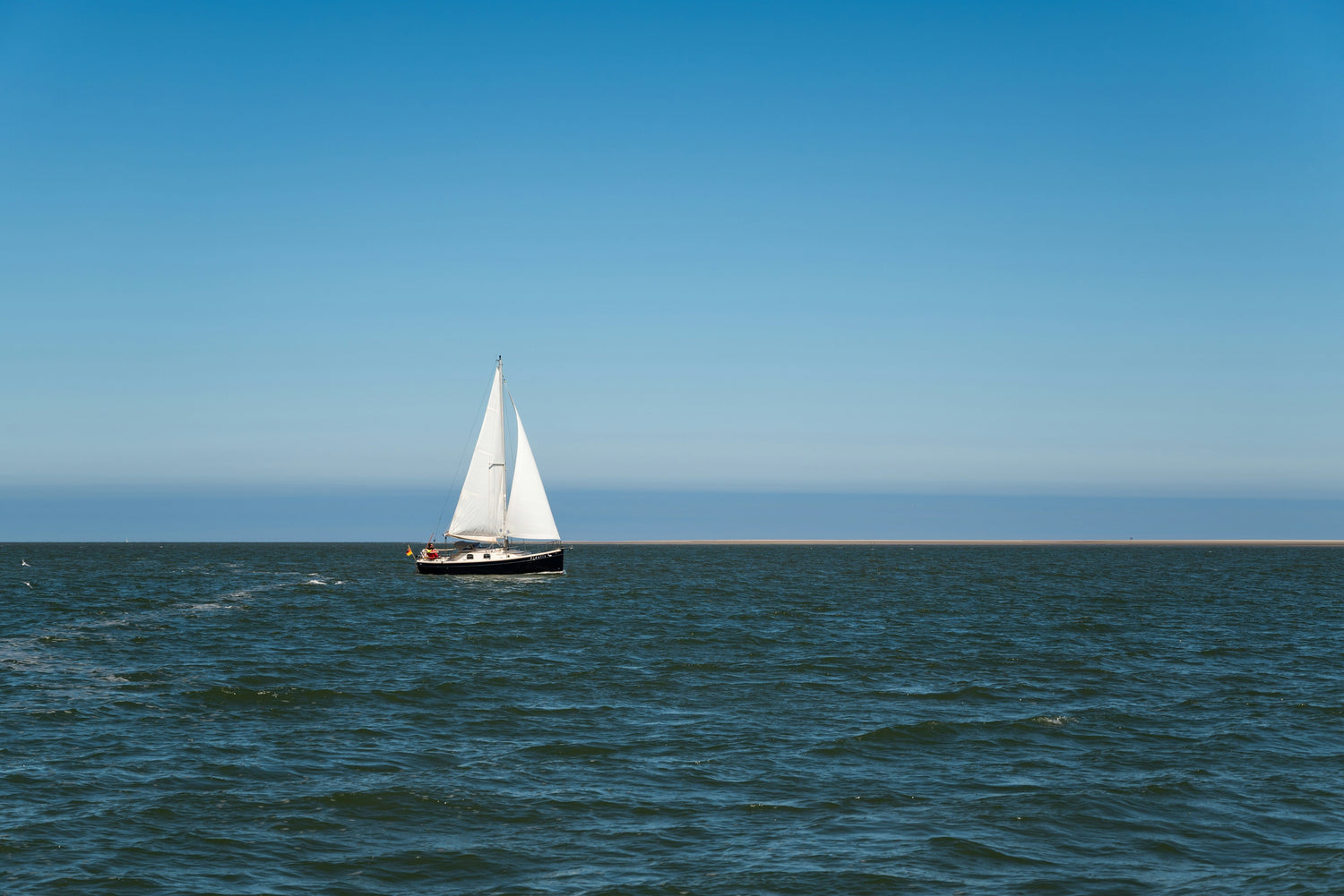 How Does Light Affect Marine Life?