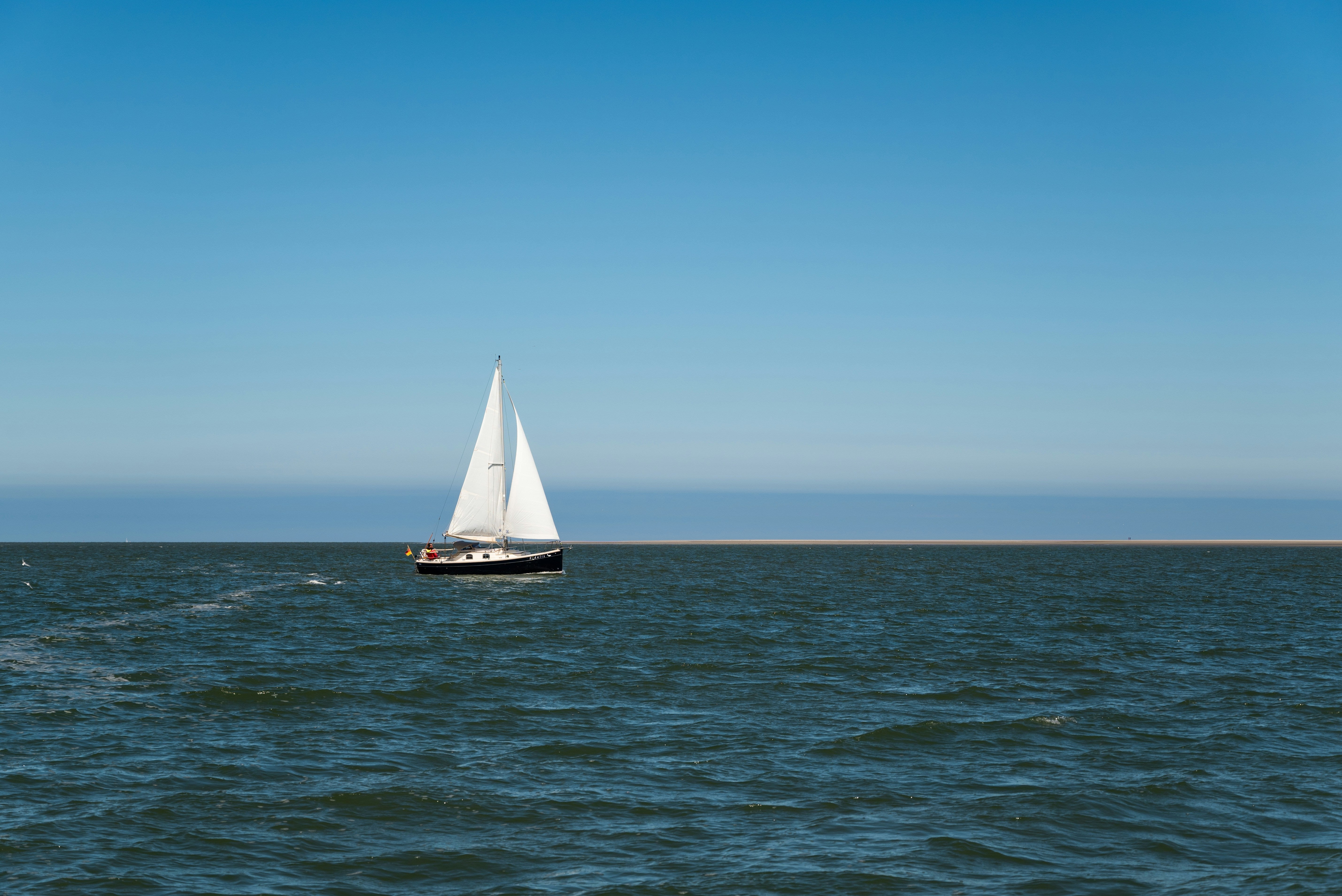 How Does Light Affect Marine Life?