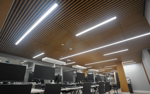 How LED Lighting Enhances Educational Institutions: A Brighter Path to Learning