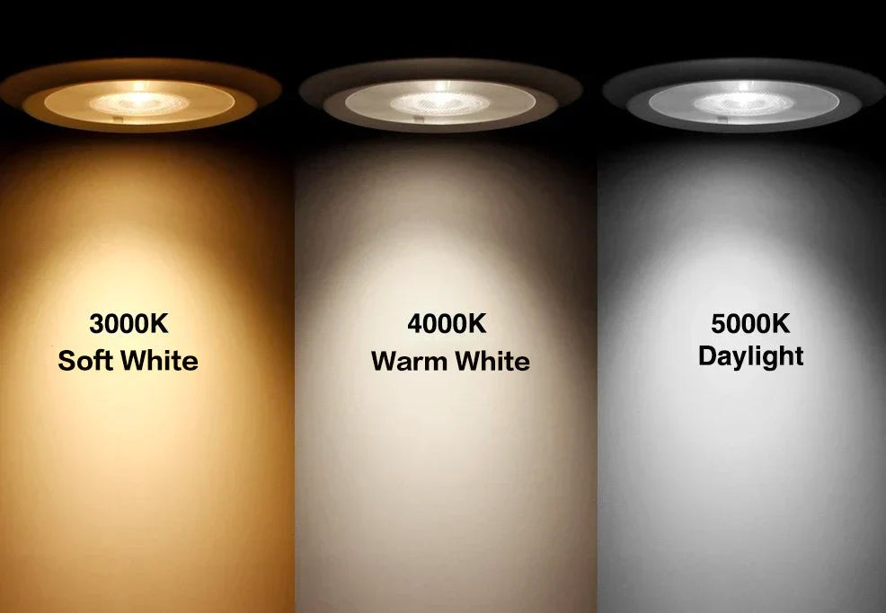 The Best Color Temperatures for Springtime Marine Environments