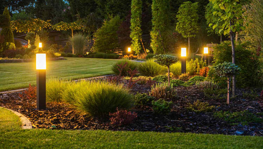 Transforming Your Backyard with Marine LED Lighting